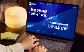 公司網(wǎng)站建設(shè)