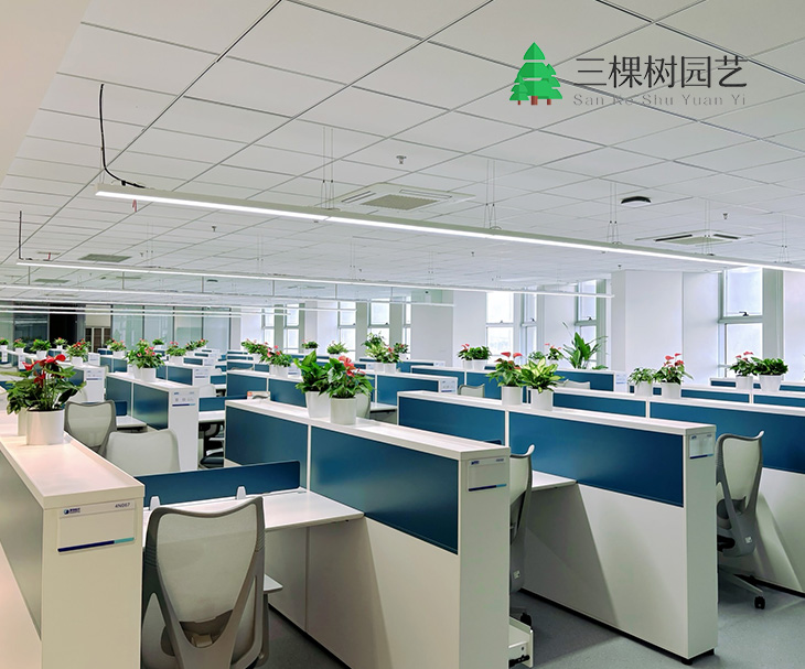 蘇州三棵樹園藝有限公司企業(yè)官網(wǎng)建設(shè)制作案例